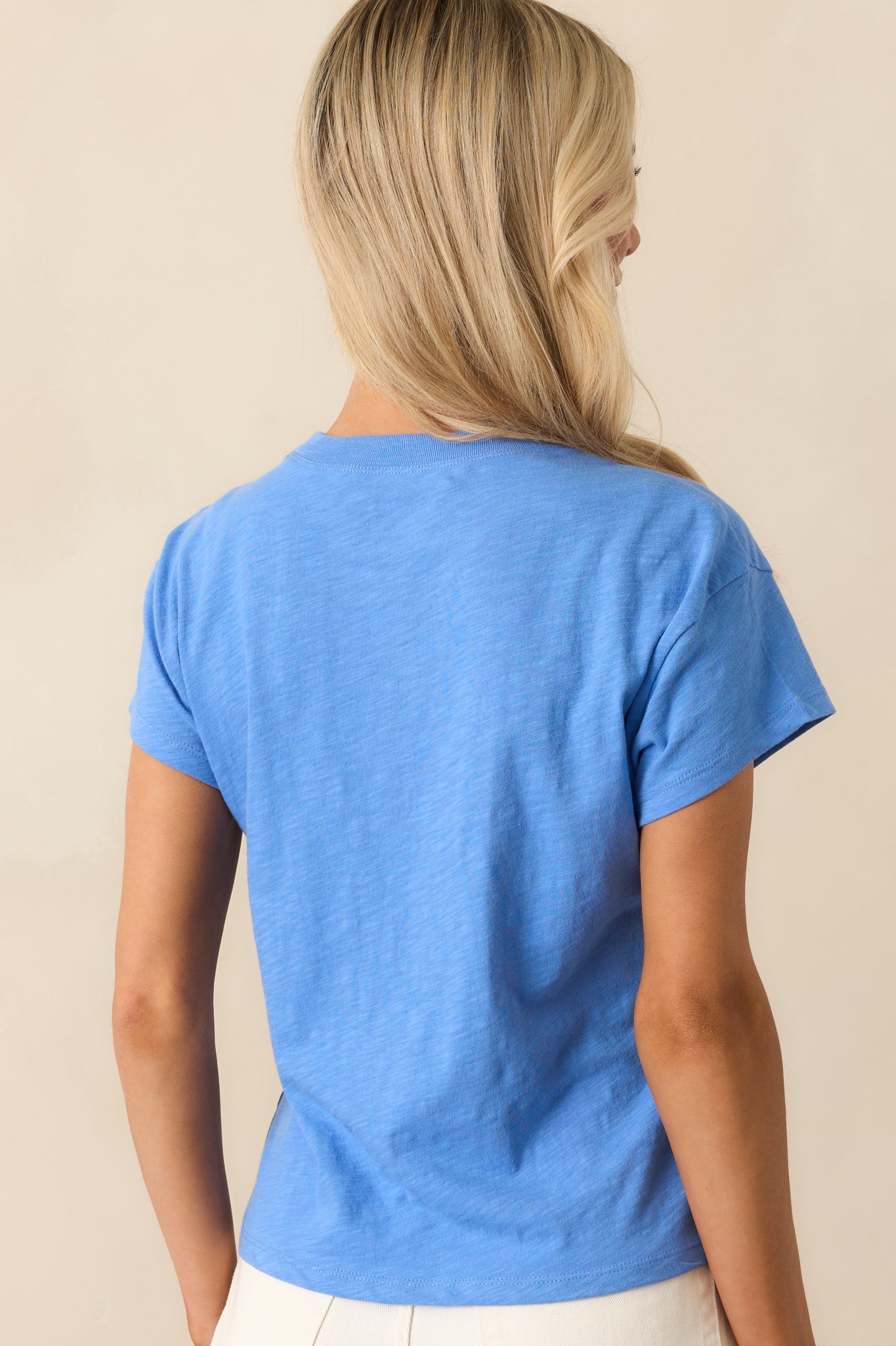 Z Supply Blue Cotton Modern Slub Tee