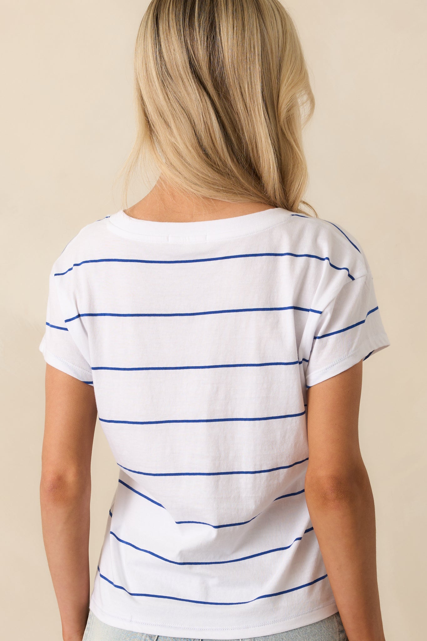 Z Supply Blue Striped Cotton Modern V-Neck Tee