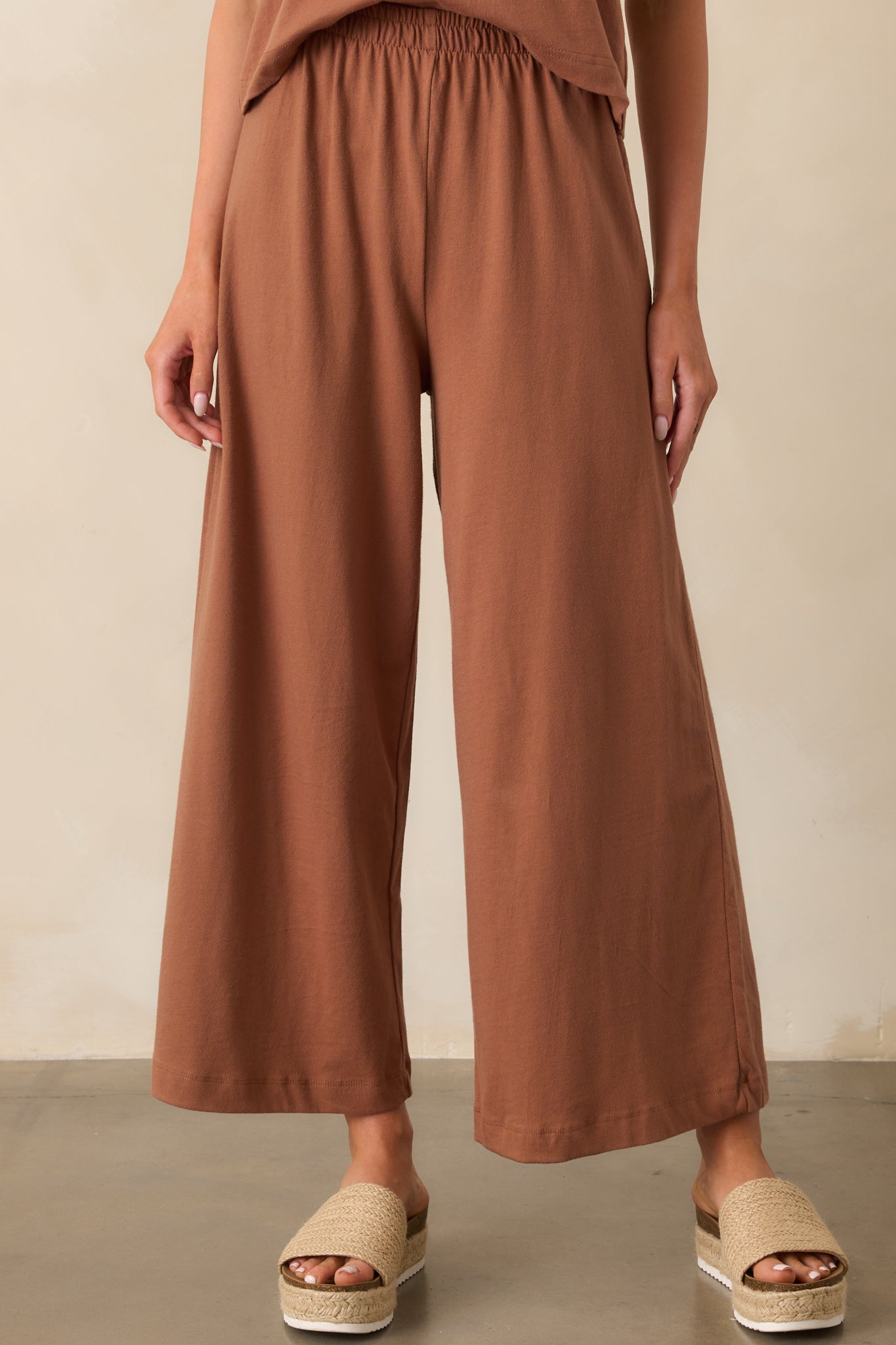 Z Supply Brown Cotton Scout Jersey Pants