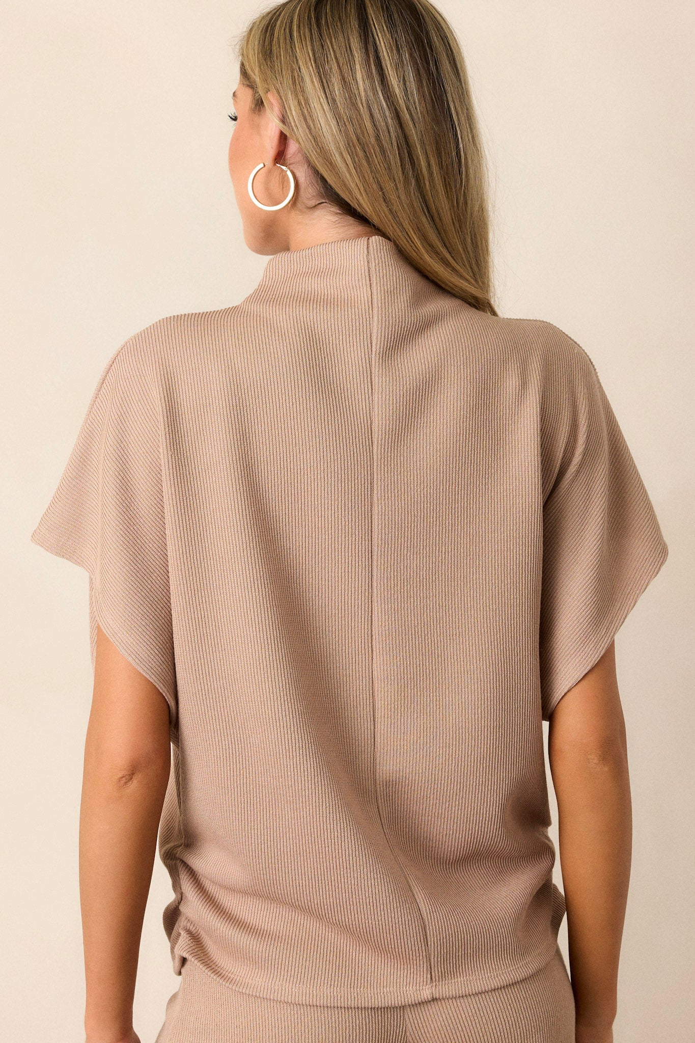Carolina Plains Beige Knit Mock Neck Top