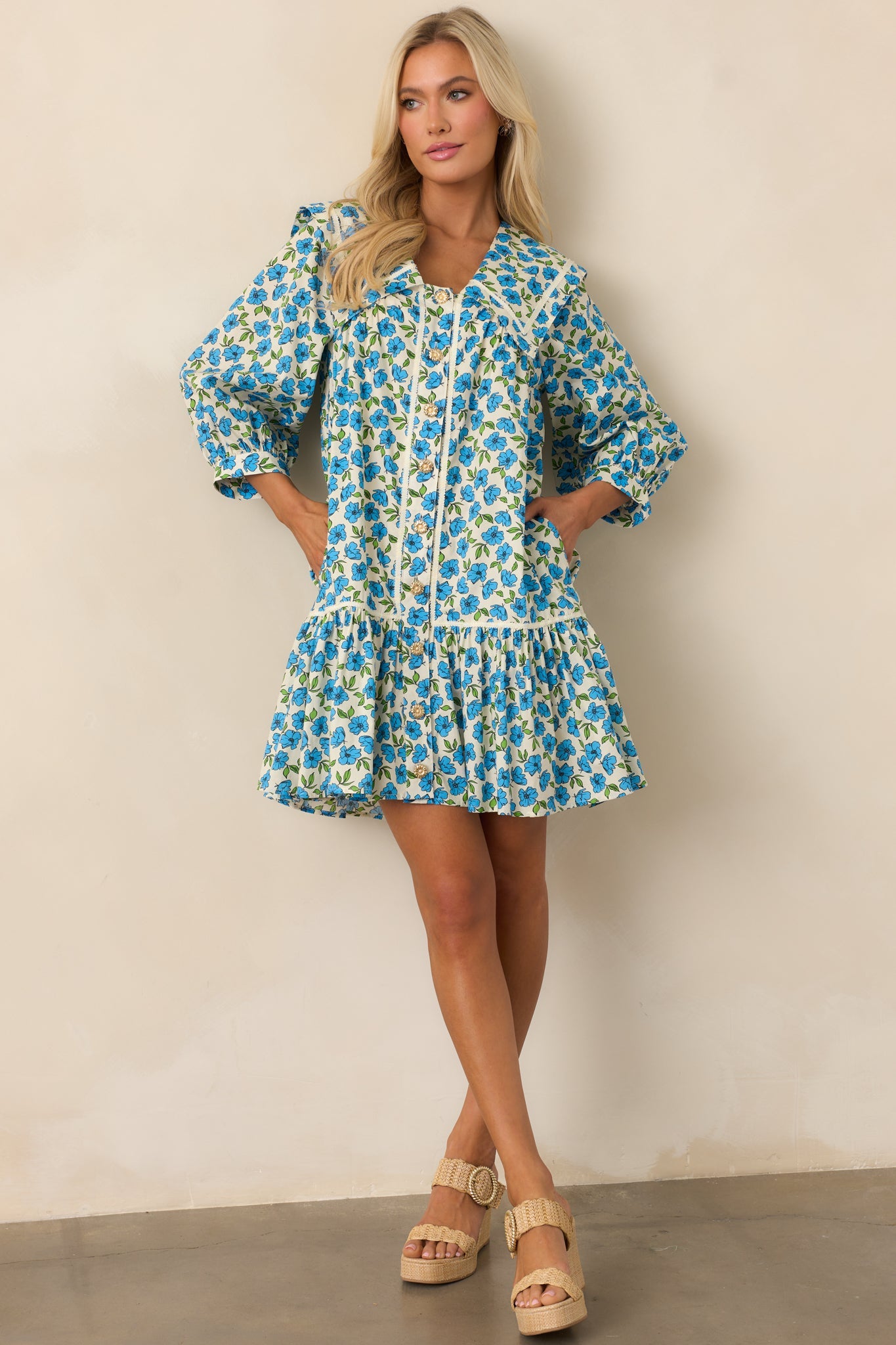 Butterfly Garden Blue Cotton Button Front Mini Dress