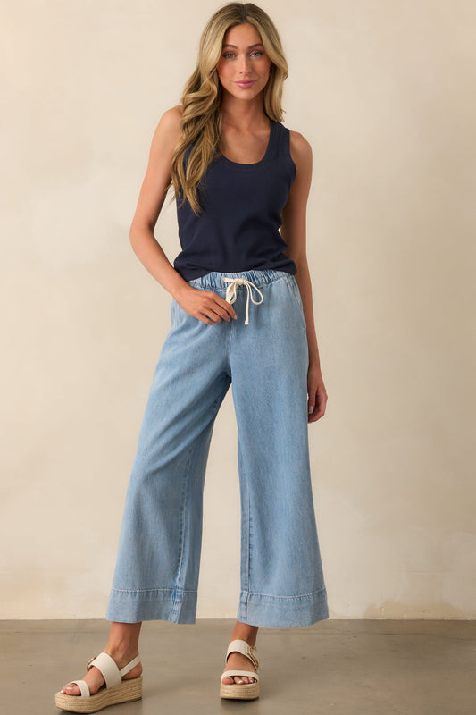 Z Supply Light Wash Cotton Weston Luxe Soft Denim Pants