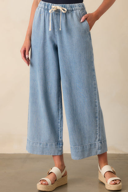 Z Supply Light Wash Cotton Weston Luxe Soft Denim Pants
