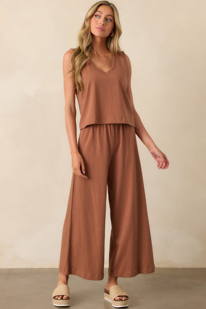 Z Supply Brown Cotton Scout Jersey Pants
