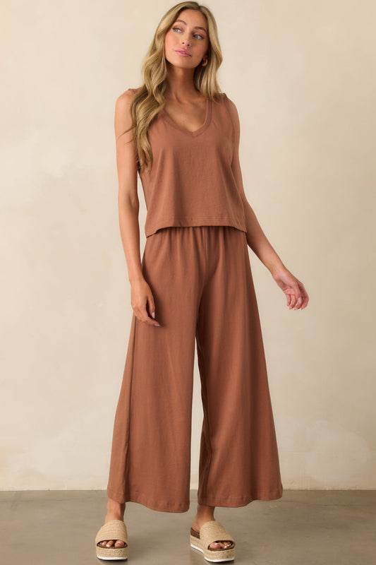 Z Supply Brown Cotton Scout Jersey Pants