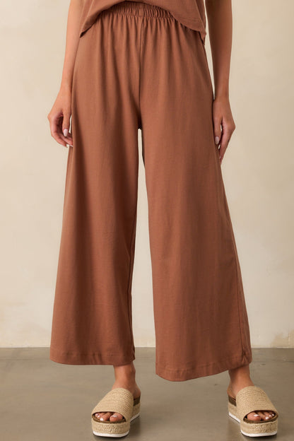 Z Supply Brown Cotton Scout Jersey Pants