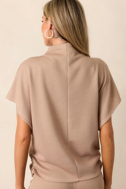 Carolina Plains Beige Knit Mock Neck Top